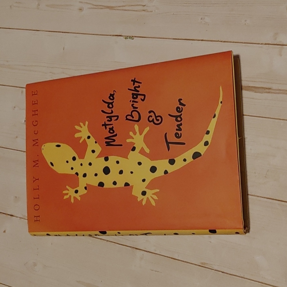 Matylda Bright & Tender Children Novel Fiction Chapter Book Holly M. McGhee